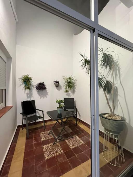 Apartamento Veedor Buenas Companias Cádiz Eksteriør bilde